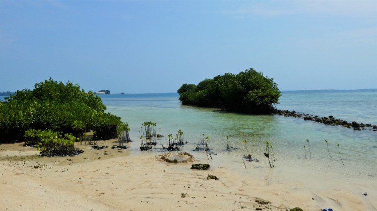 Pramuka Island (10)