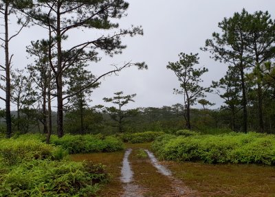 Vietnam blog deel III 26